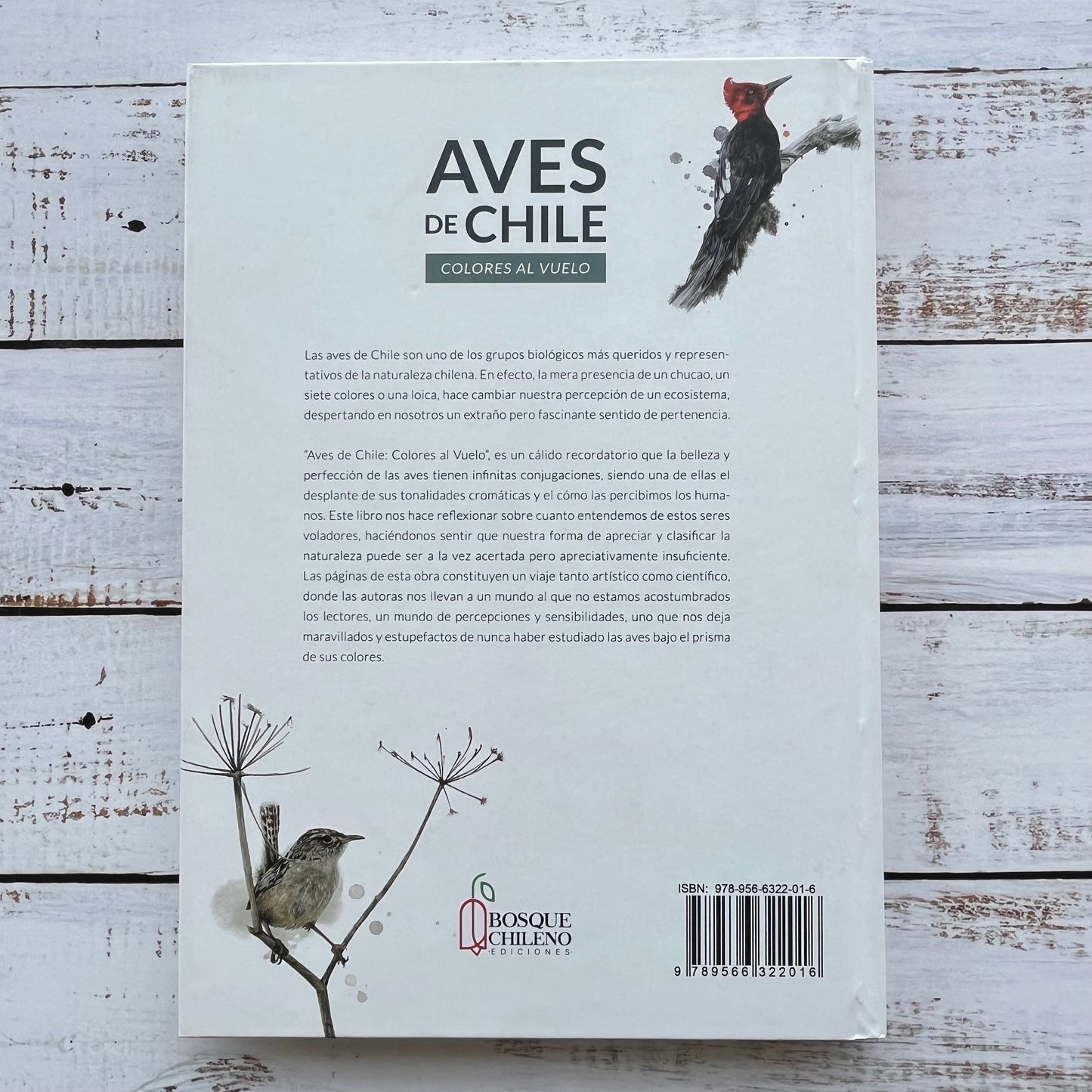 Aves de Chile, Colores al vuelo