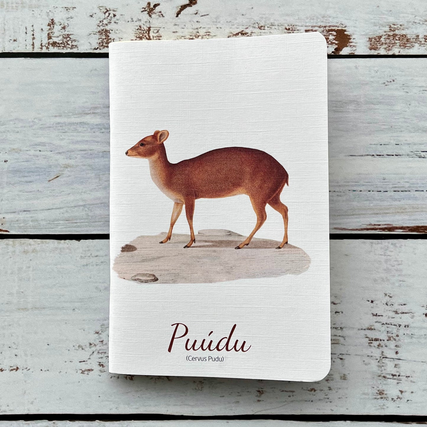 Cuaderno de viaje: Puúdu (Cervus pudu)