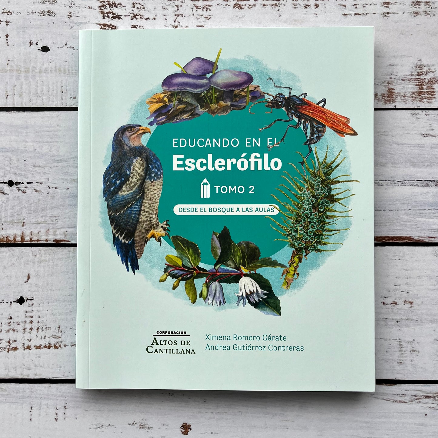 Educando en el esclerófilo