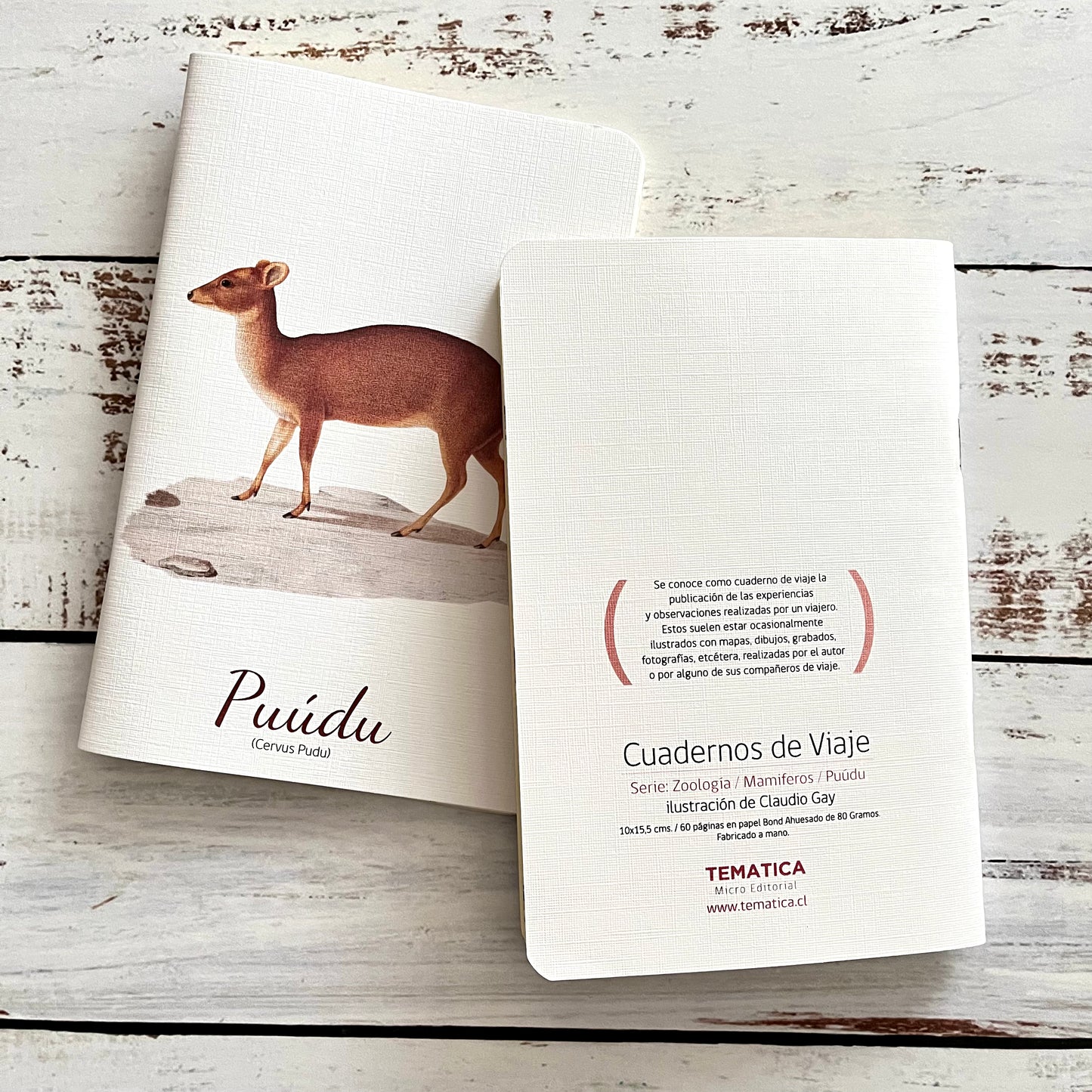 Cuaderno de viaje: Puúdu (Cervus pudu)