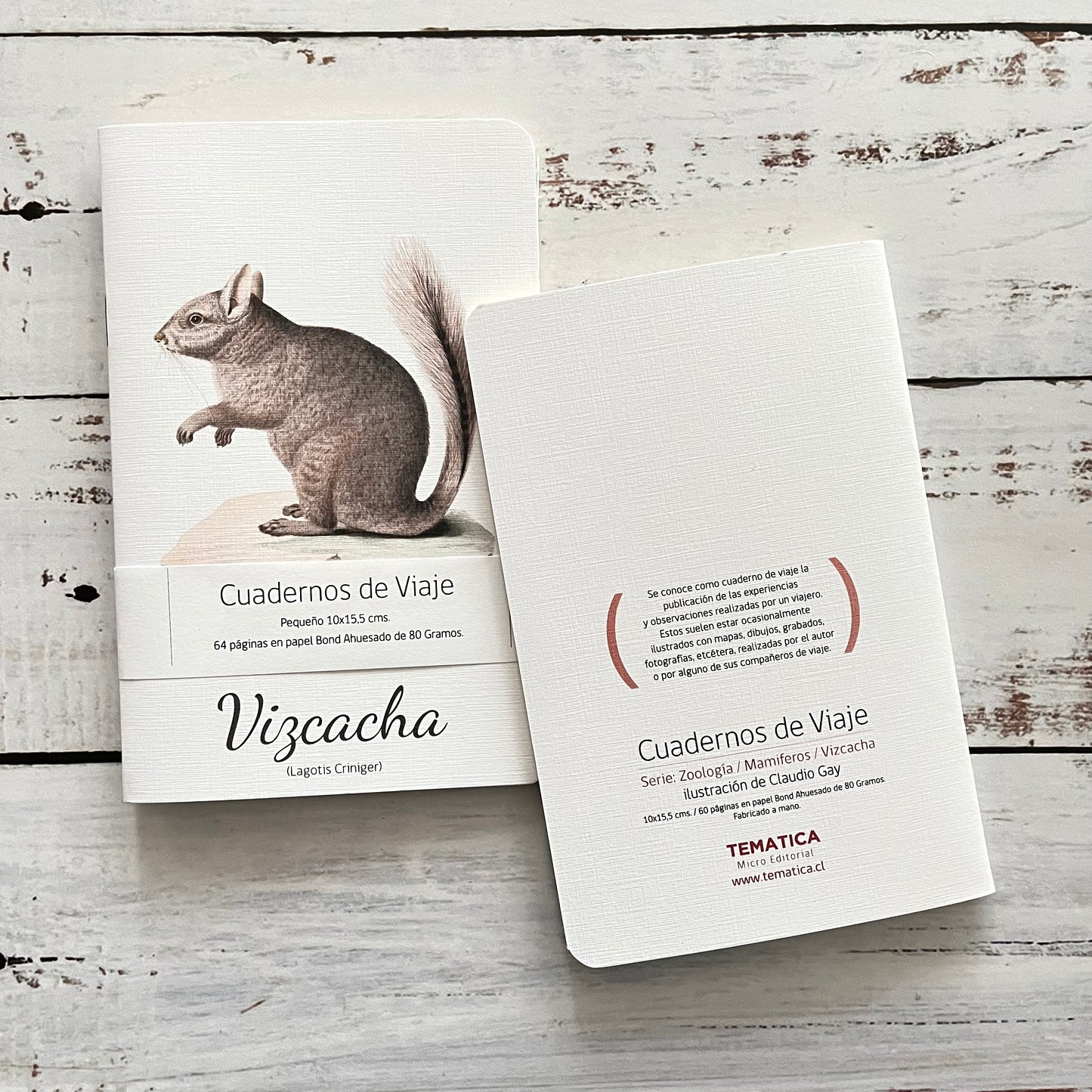 Cuaderno de viaje: Vizcacha (Lagotis criniger)