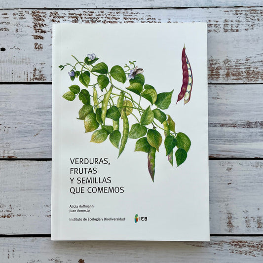 Verduras, frutas y semillas que comemos