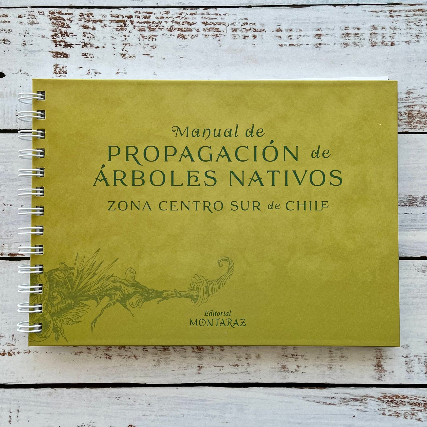 Manual de propagación de árboles nativos. Zona centro sur de Chile (2da edición, 2023)