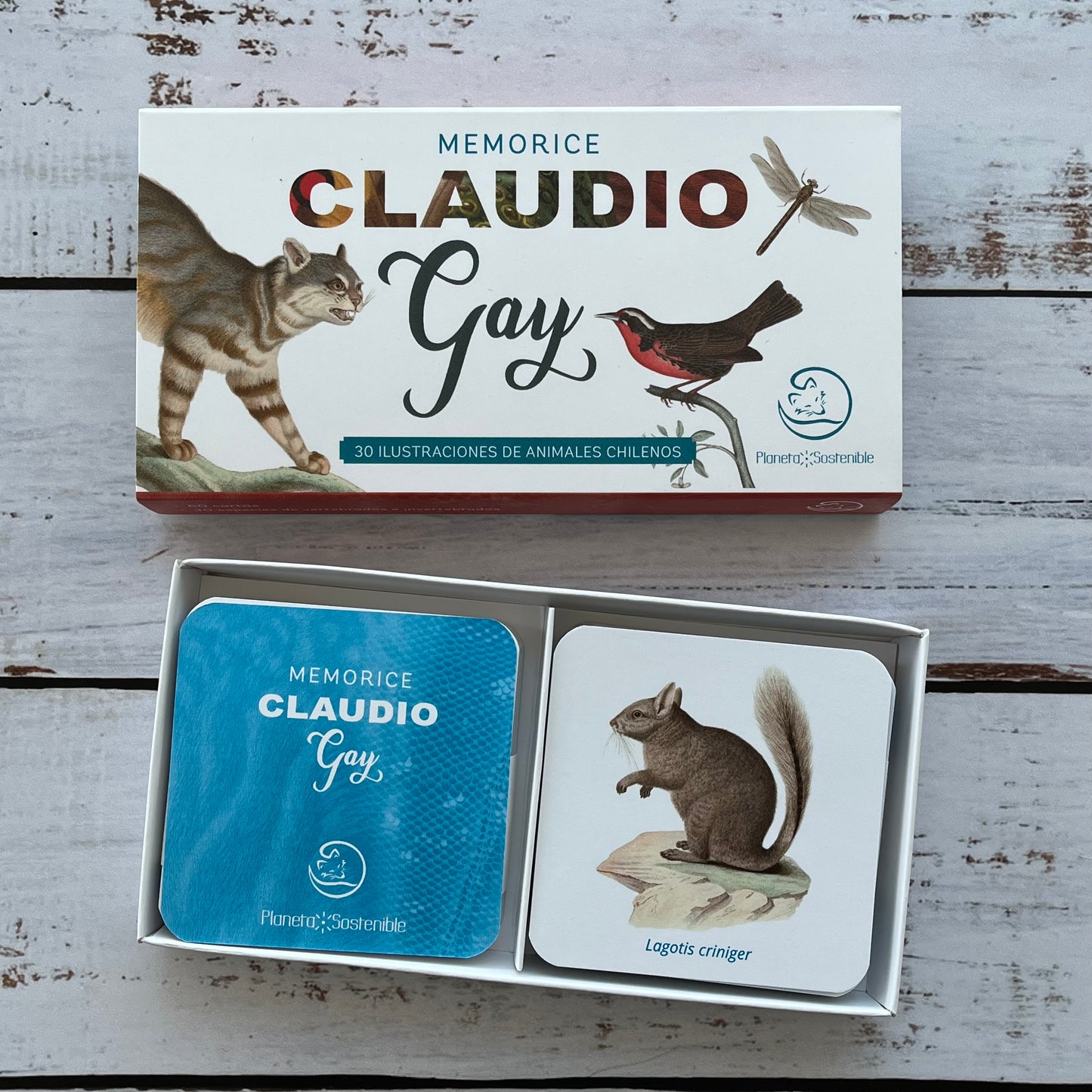 Memorice Claudio Gay: Animales chilenos