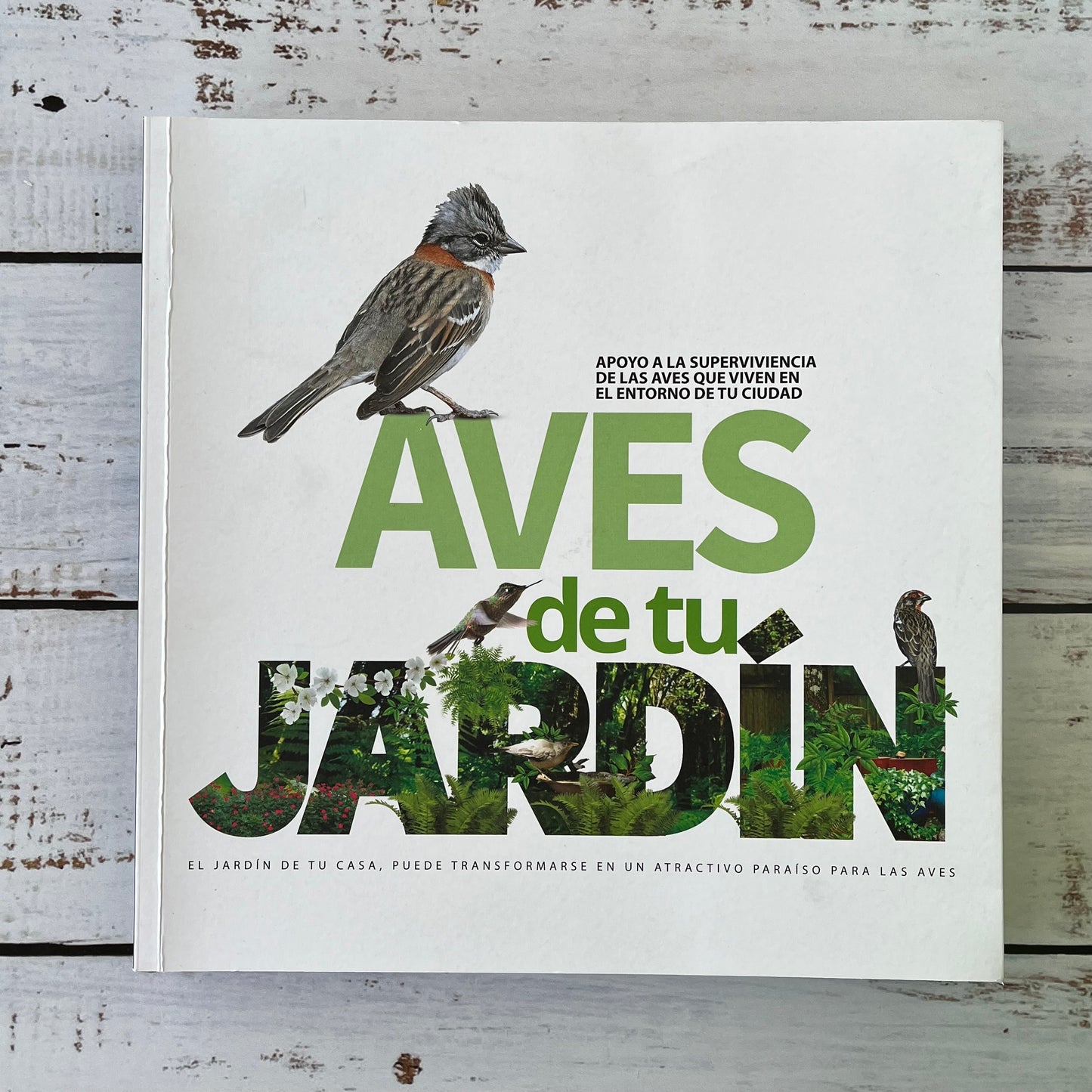 Aves de tu jardín