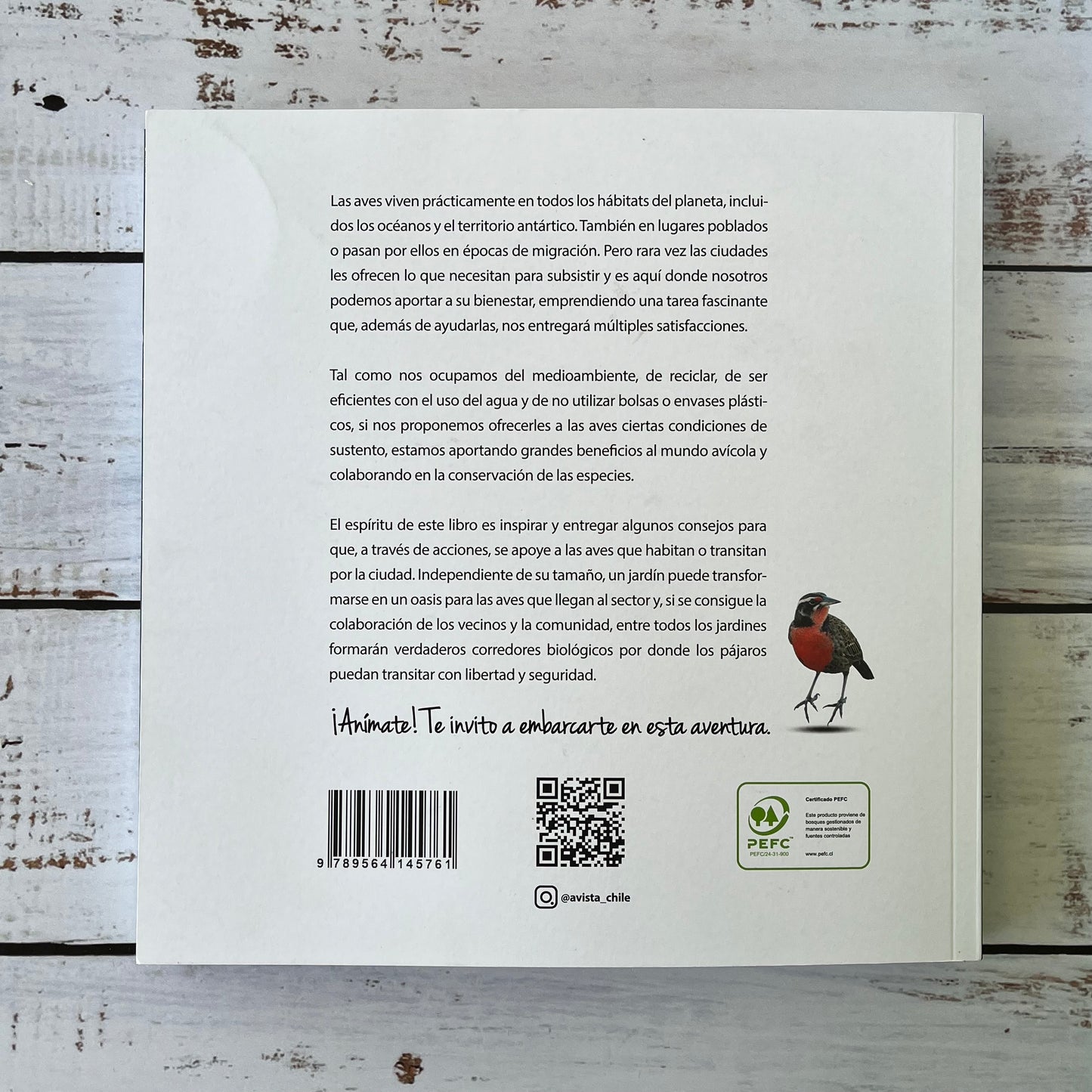 Aves de tu jardín