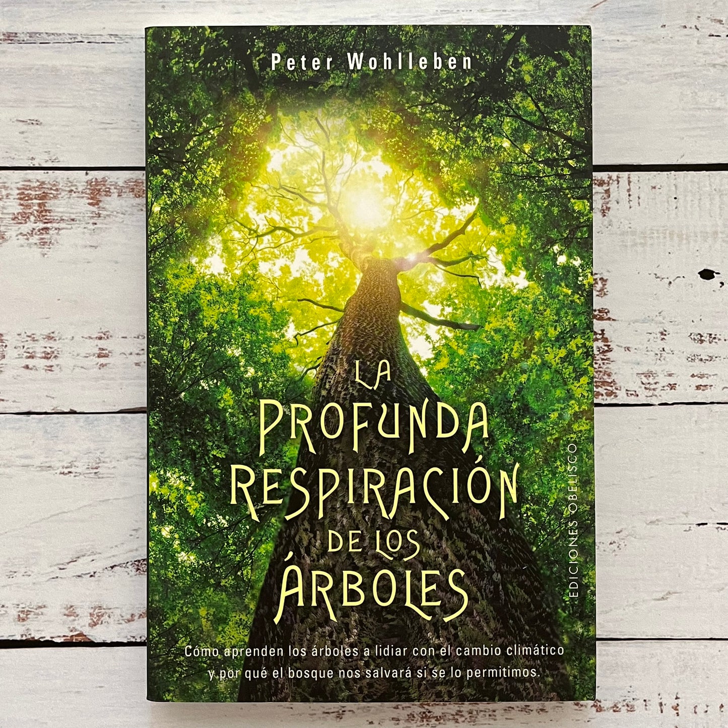 La profunda respiración de los árboles