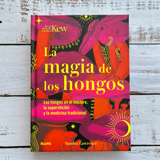 La magia de los hongos