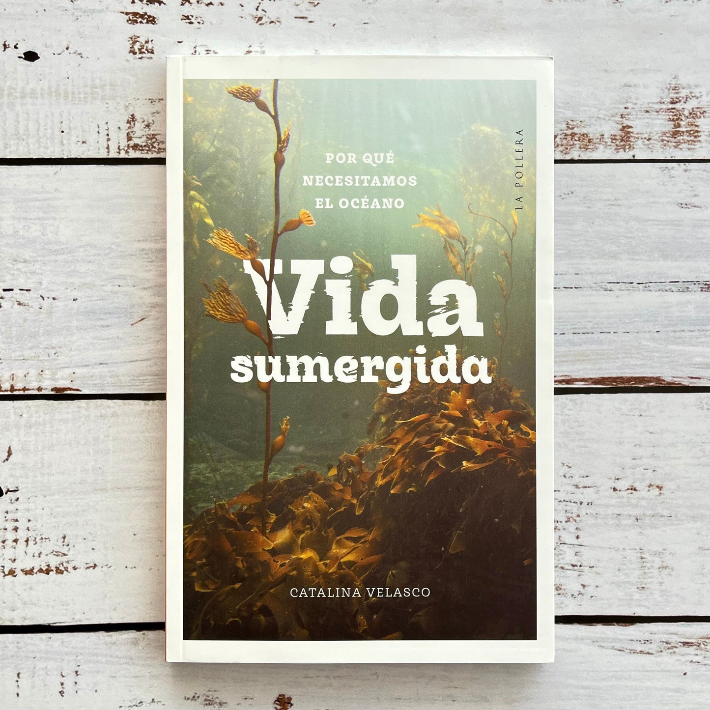 Vida Sumergida