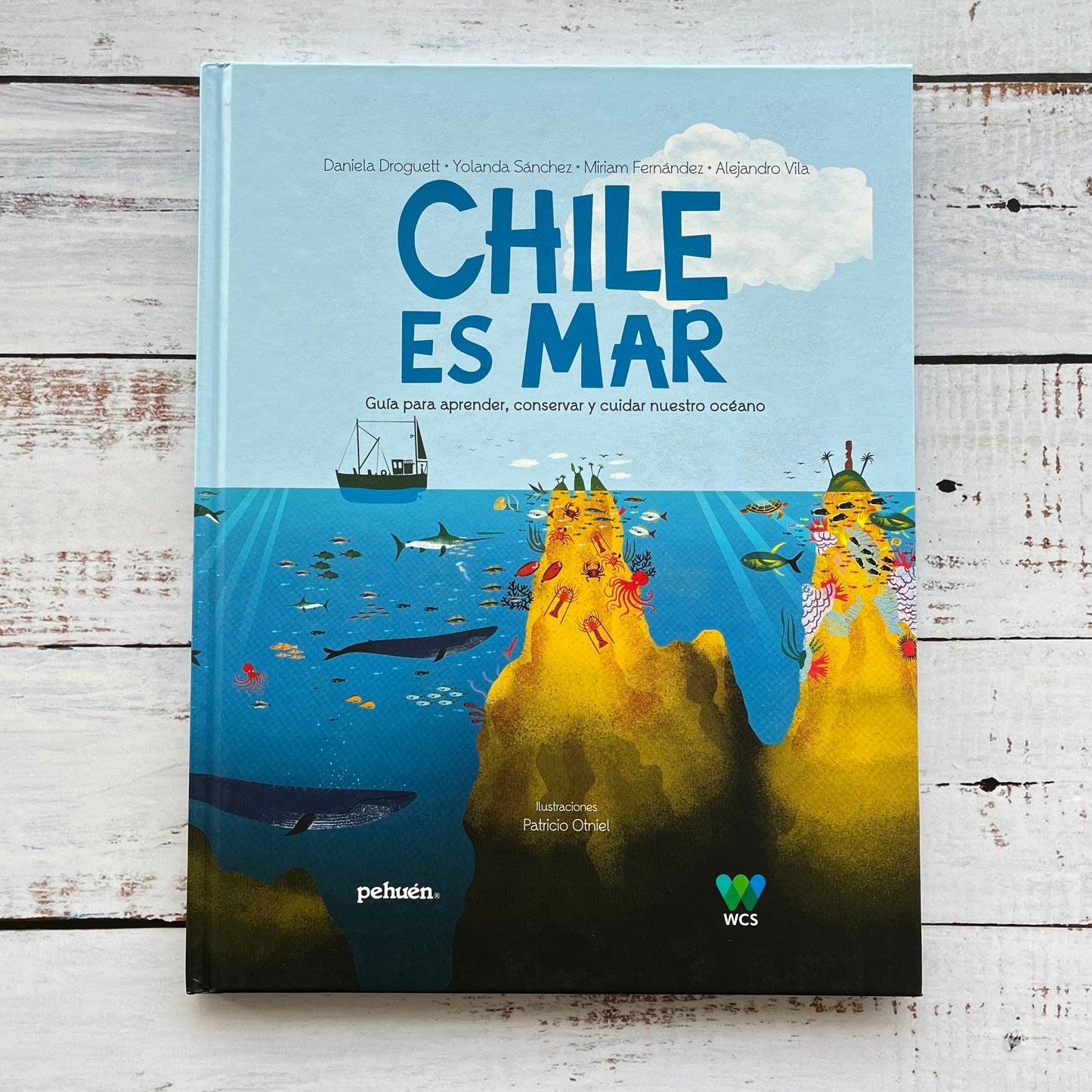 Chile es mar