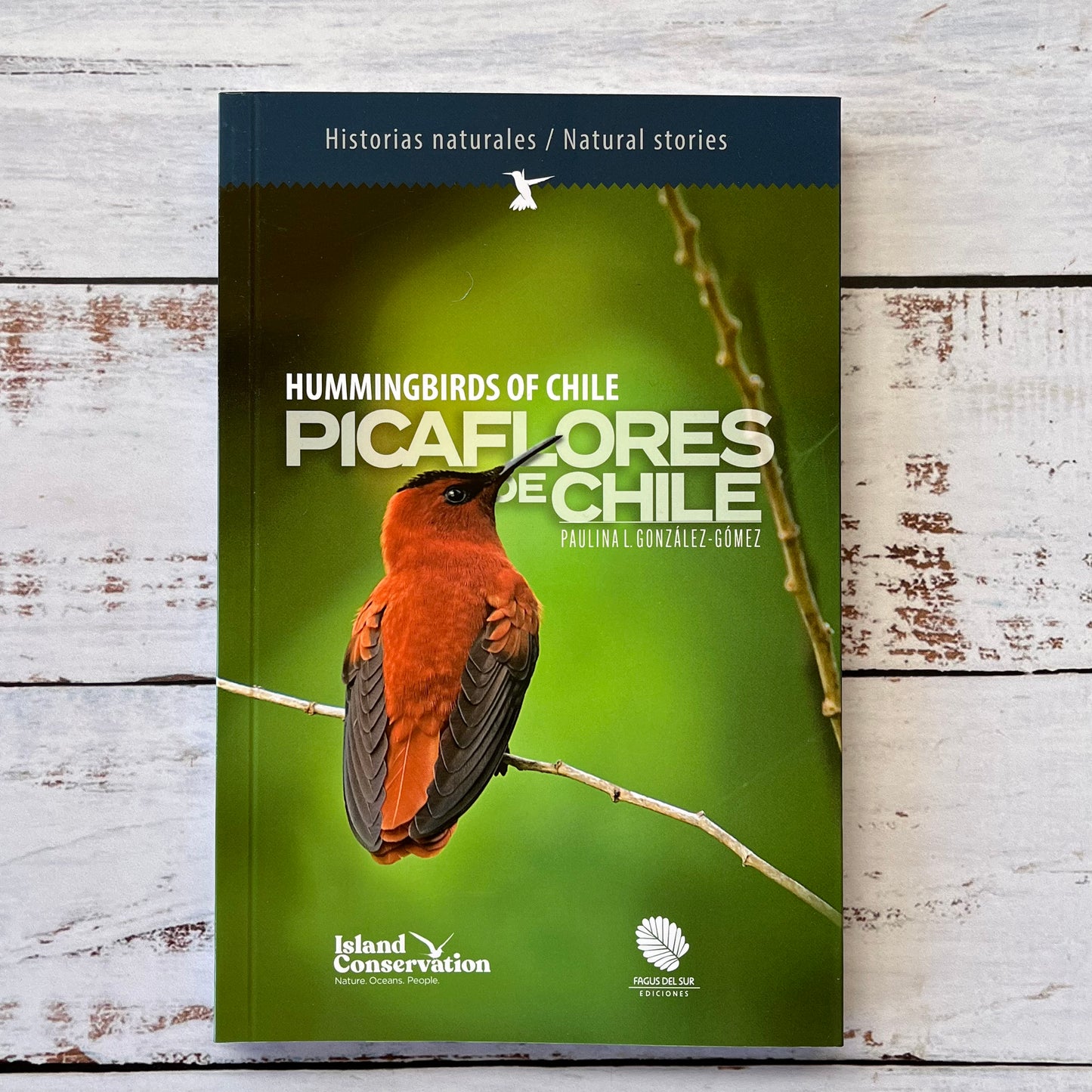 Picaflores de Chile