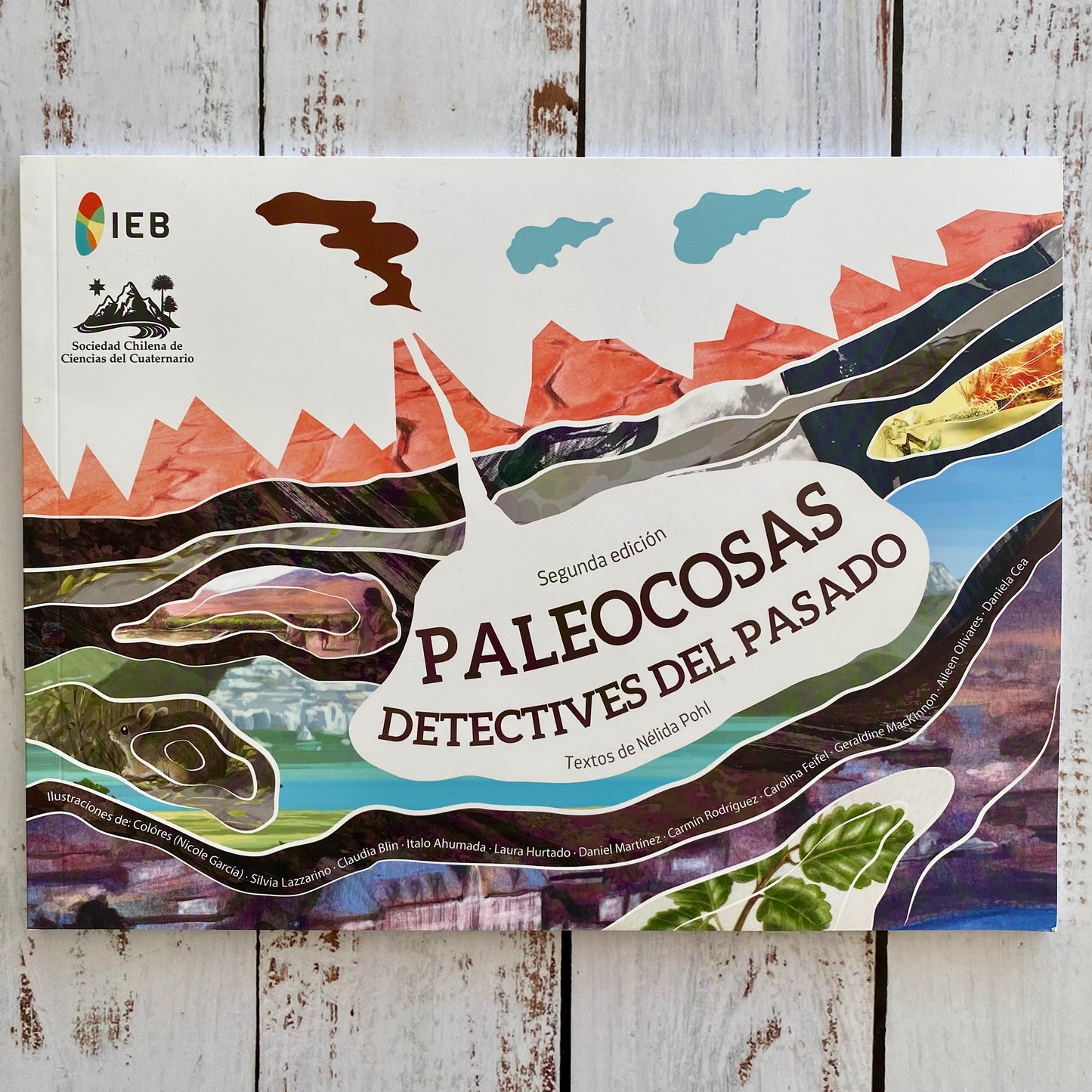 Paleocosas, detectives del pasado (2da Edición)