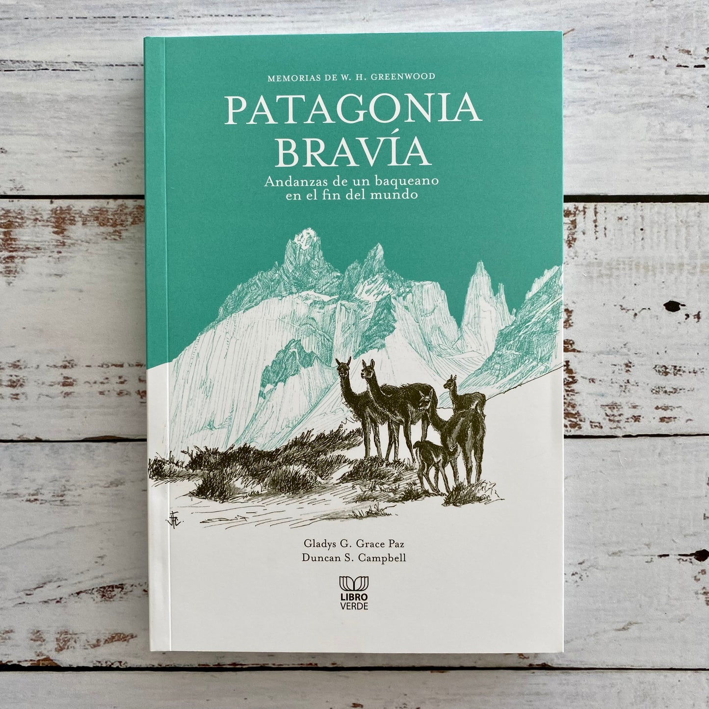 Patagonia Bravía