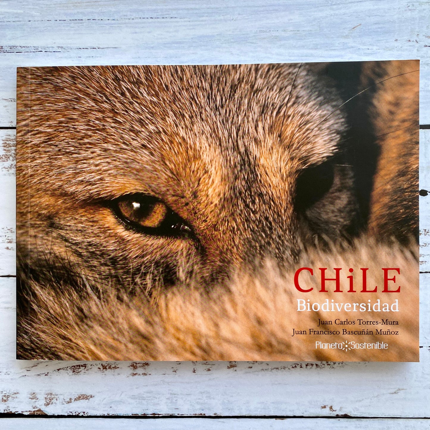 Chile biodiversidad