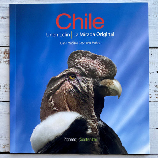 Chile Unen Lelin, La mirada original.