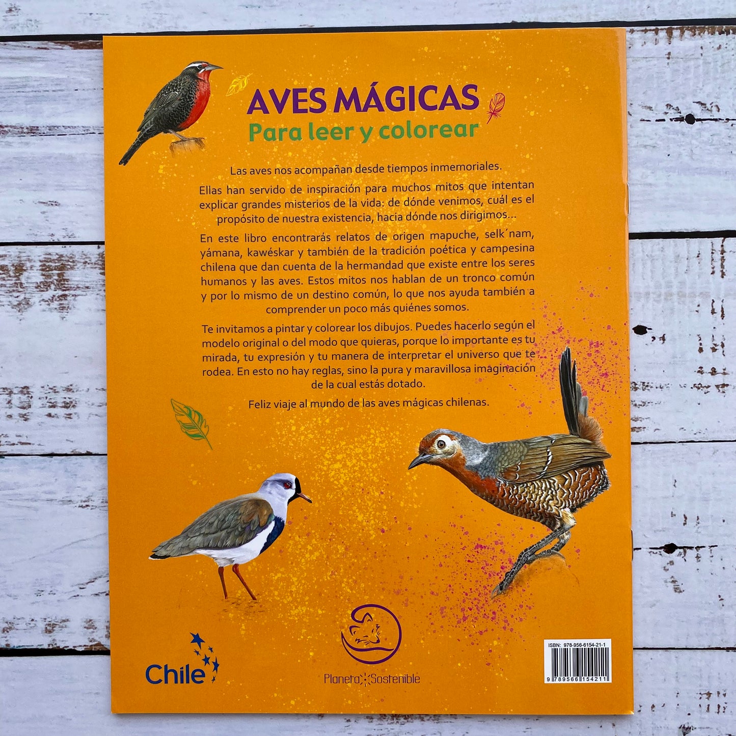 Aves mágicas para leer y colorear