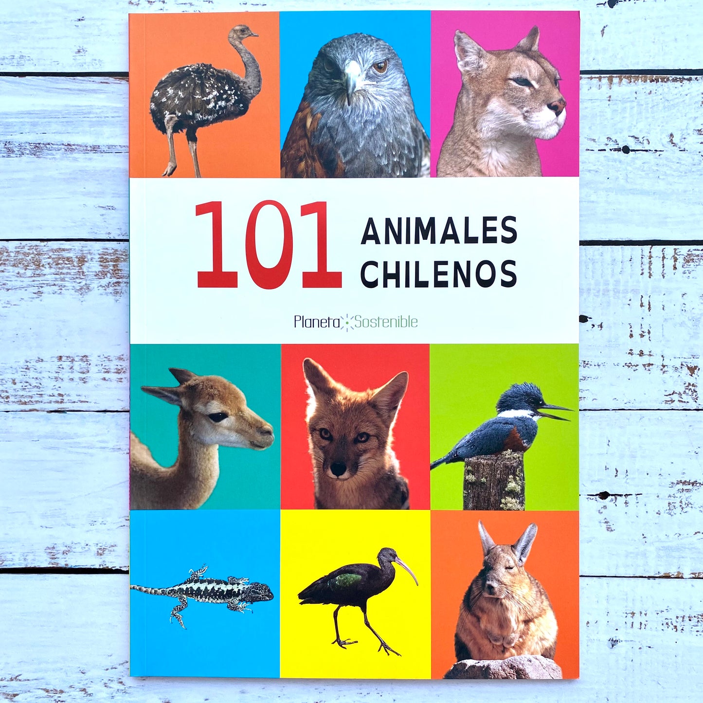 101 animales chilenos