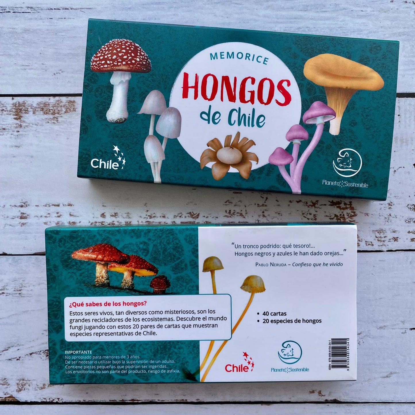 Memorice: Hongos de Chile