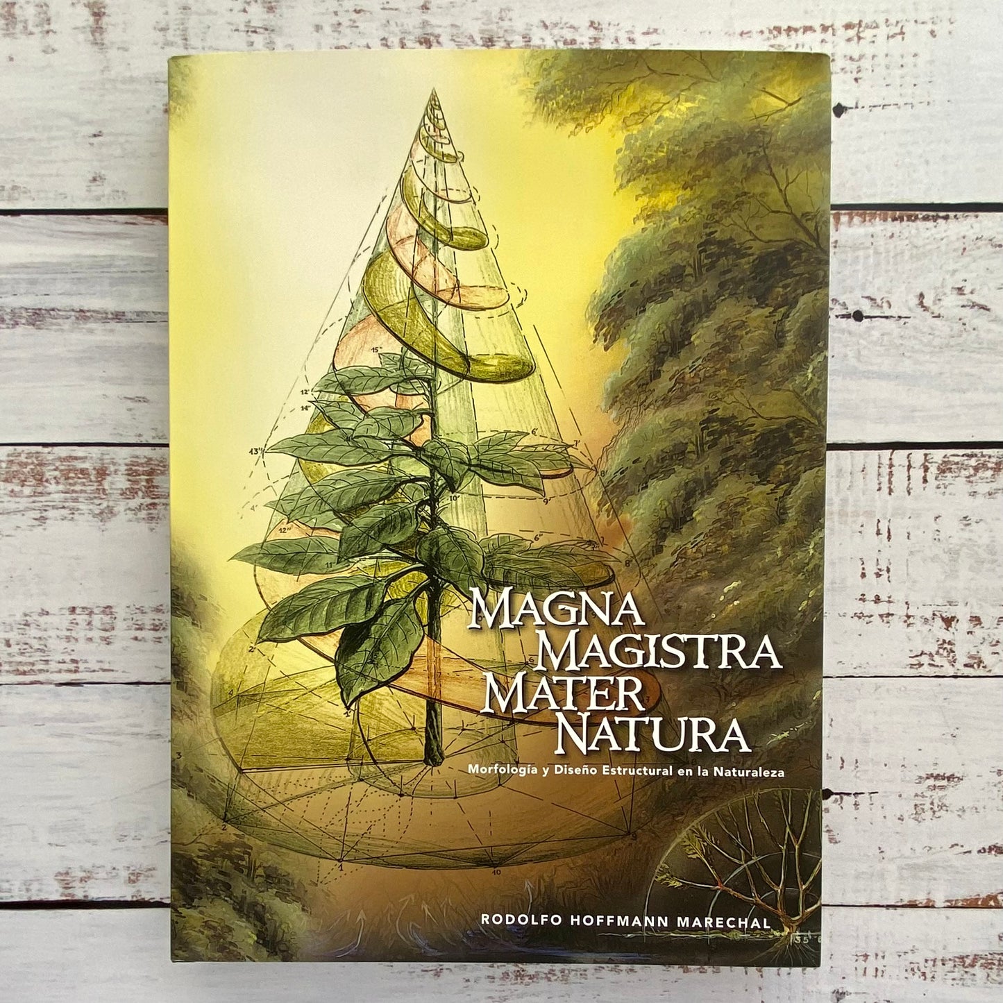 Magna Magistra Mater Natura