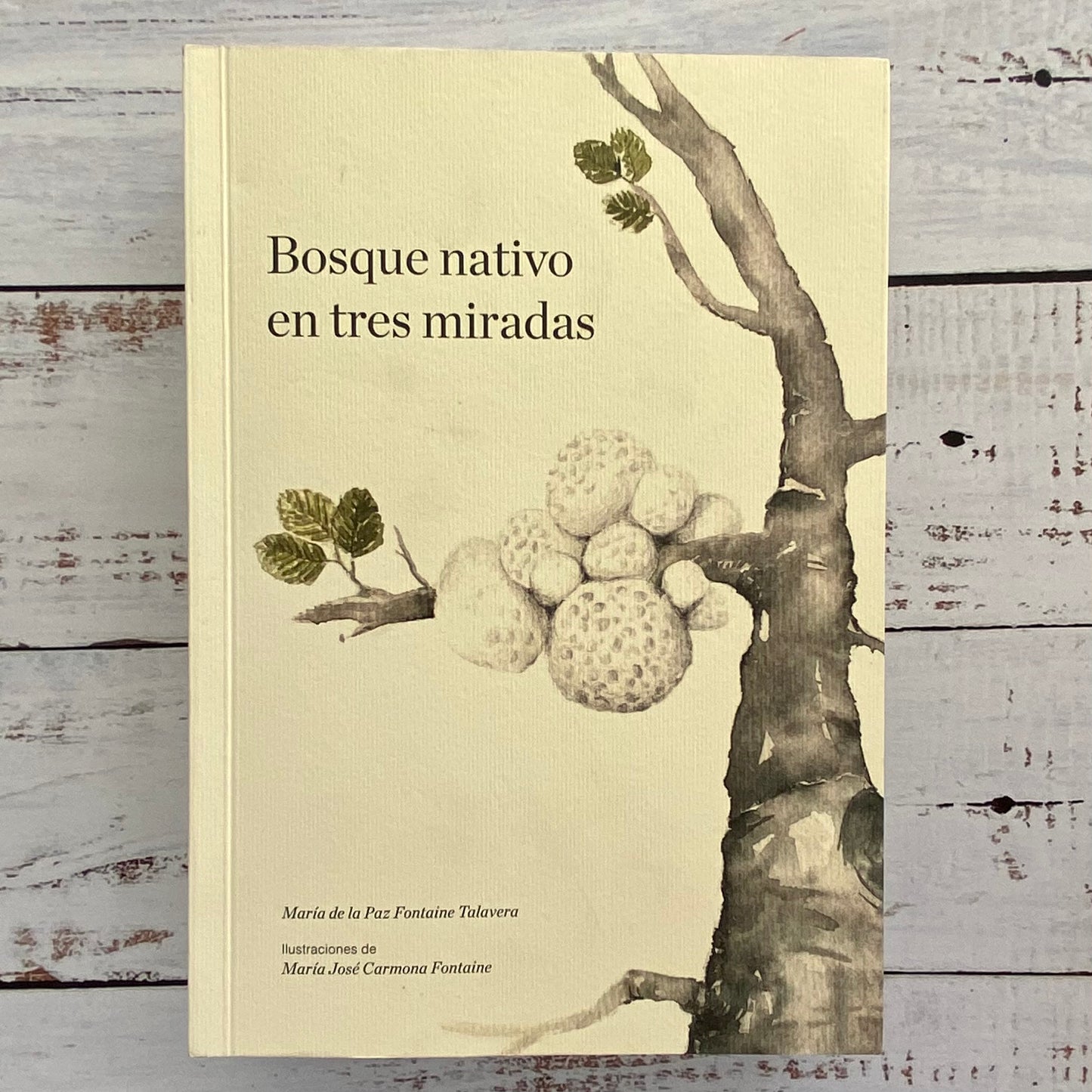 Bosque nativo en tres miradas (4ta edición)