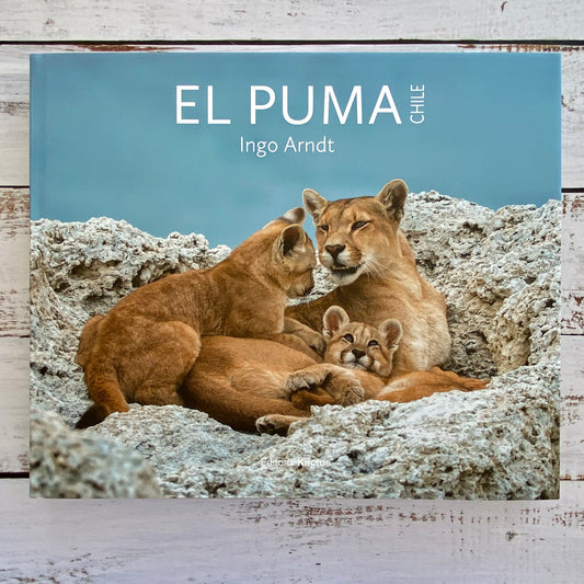 El Puma