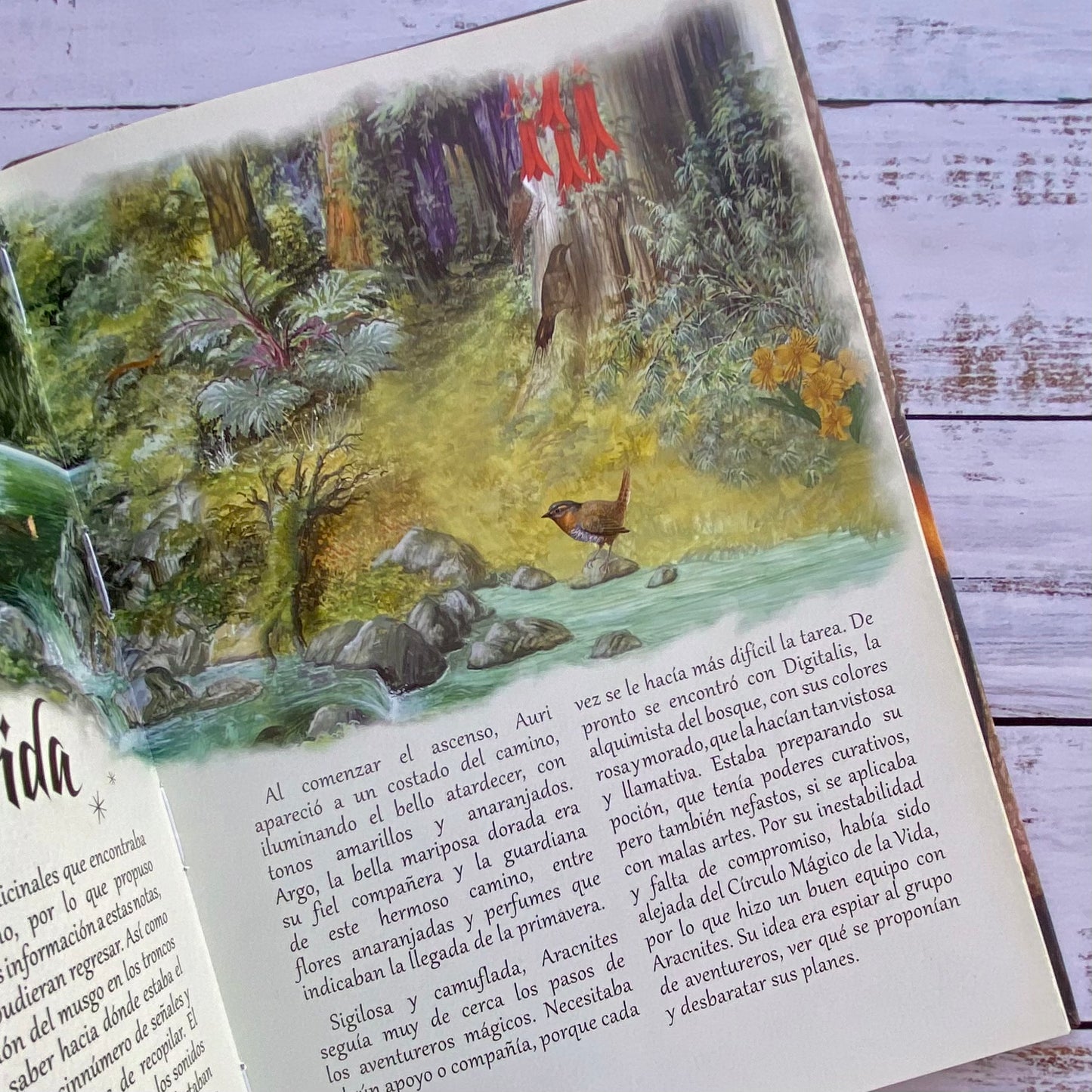 El libro secreto de la Selva Patagónica