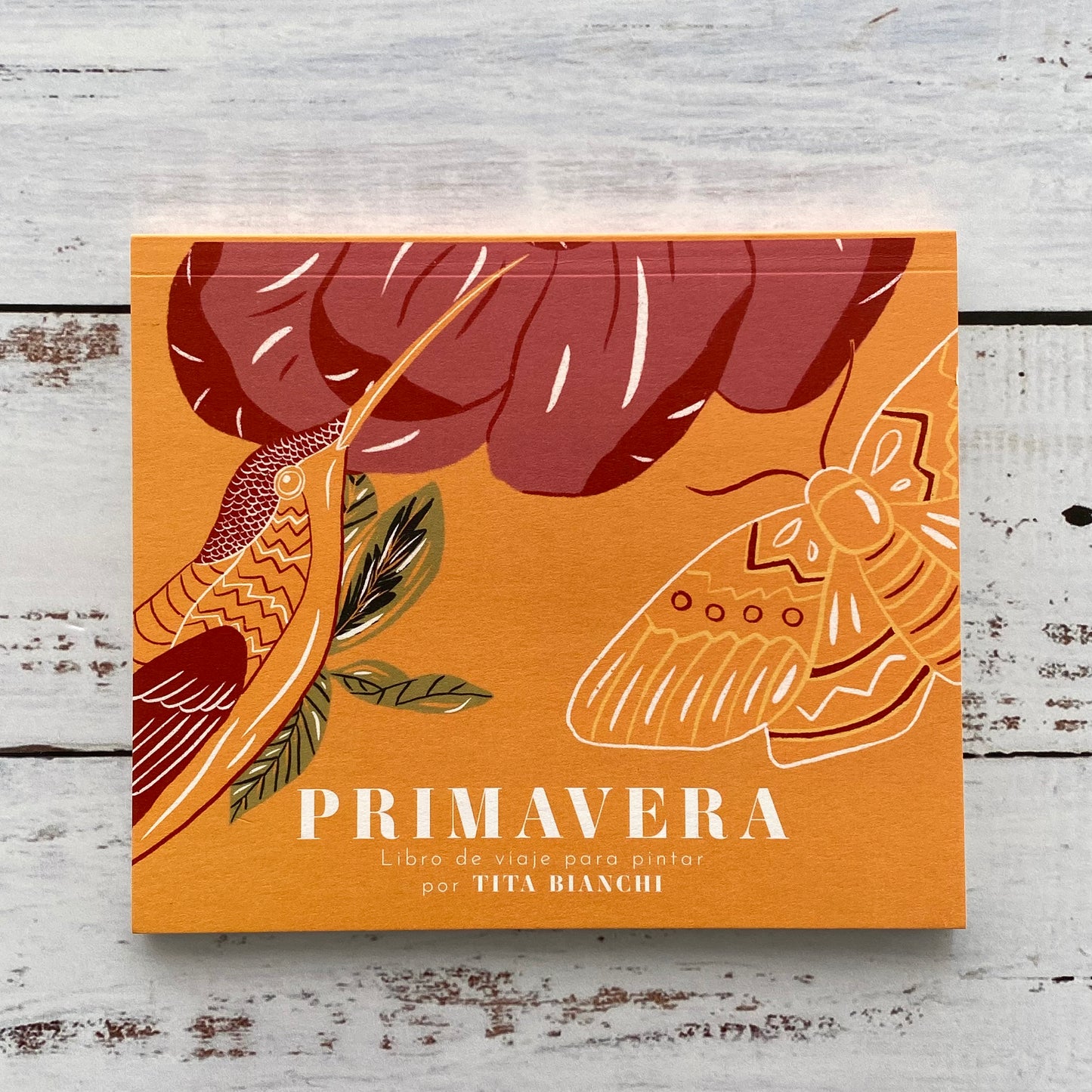 Primavera: Libro de viaje para pintar