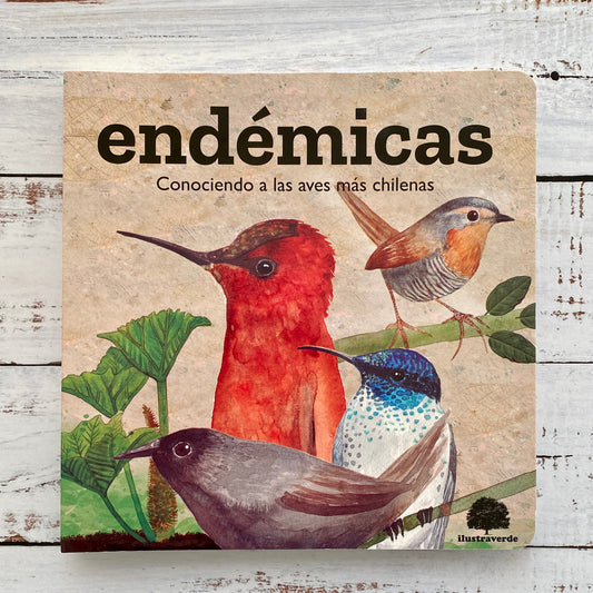 Endémicas, Conociendo a las aves más chilenas