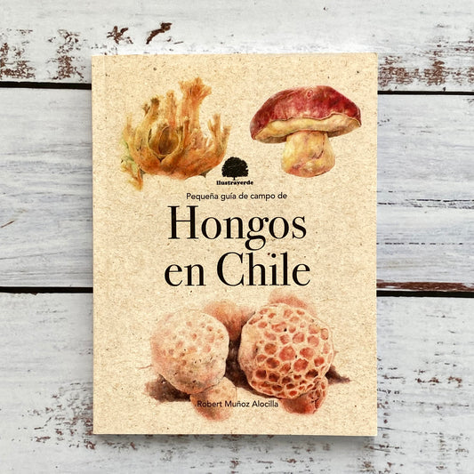 Pequeña Guía de Campo de Hongos en Chile