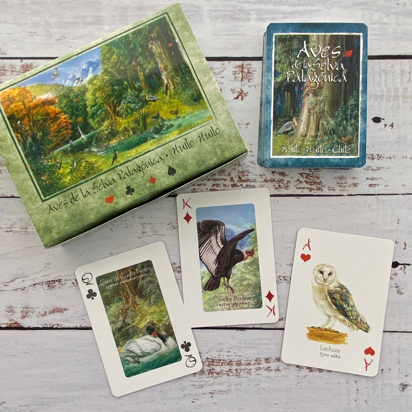 Juego de naipes: Aves de la Selva Patagónica