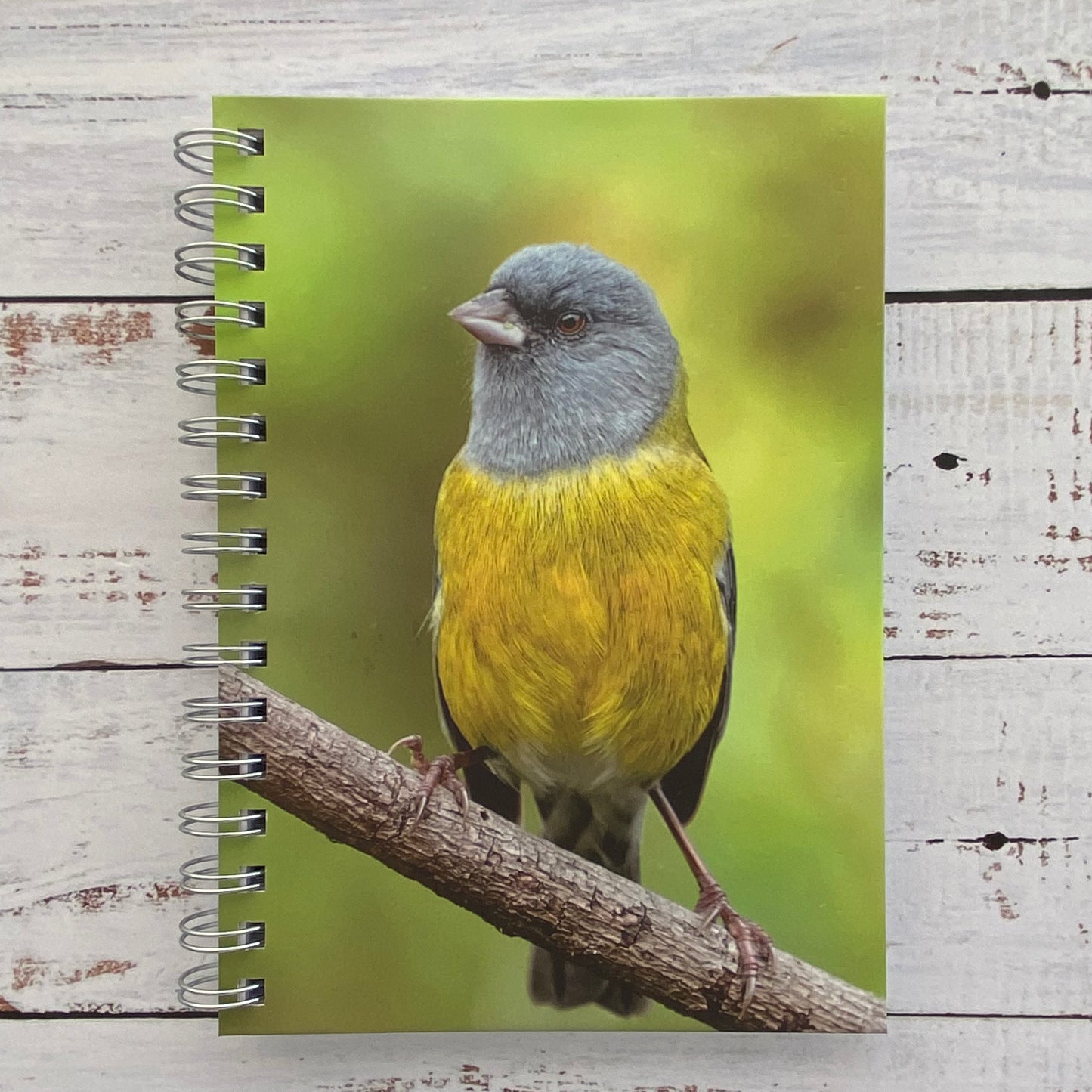 Cuaderno de Notas: Cometocino