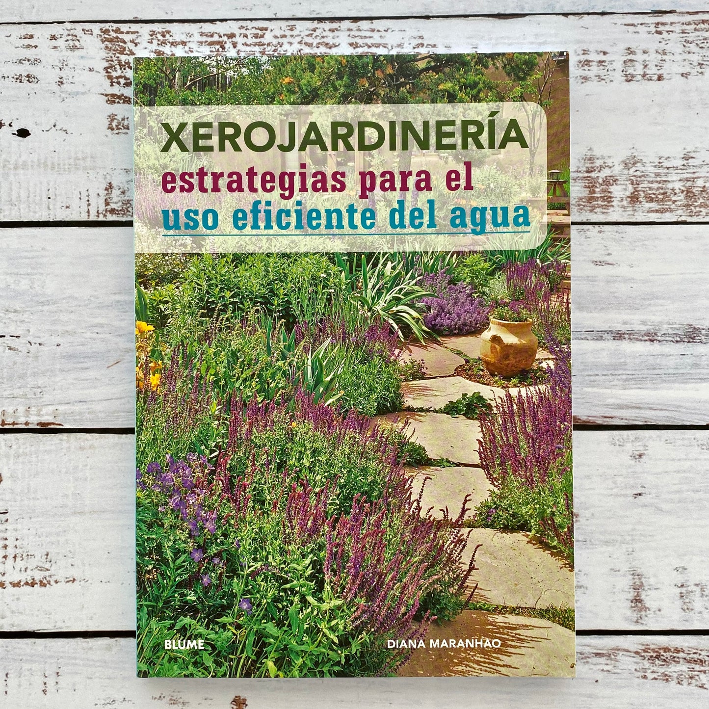 Xerojardineria