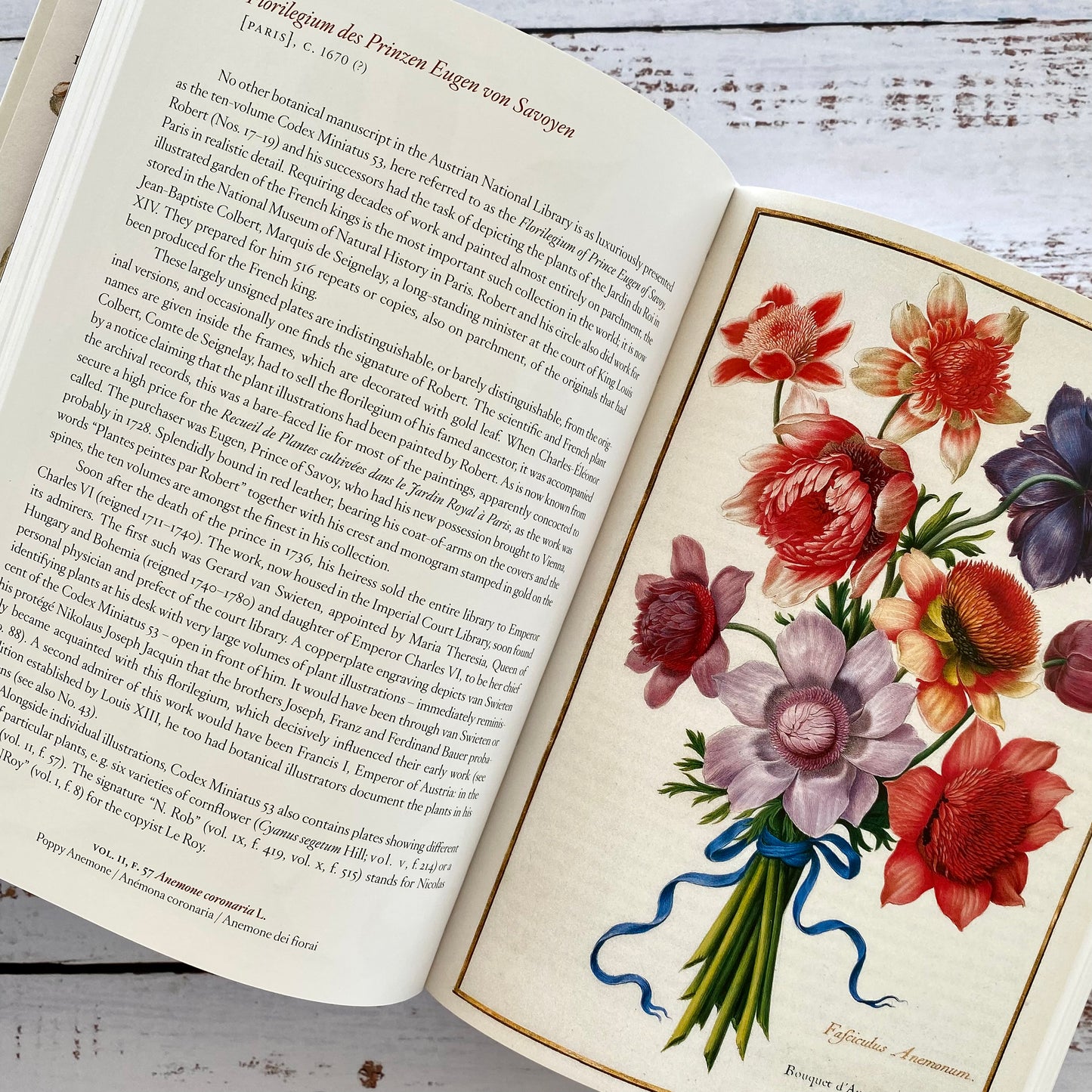 A Garden Eden. Masterpieces of Botanical Illustration