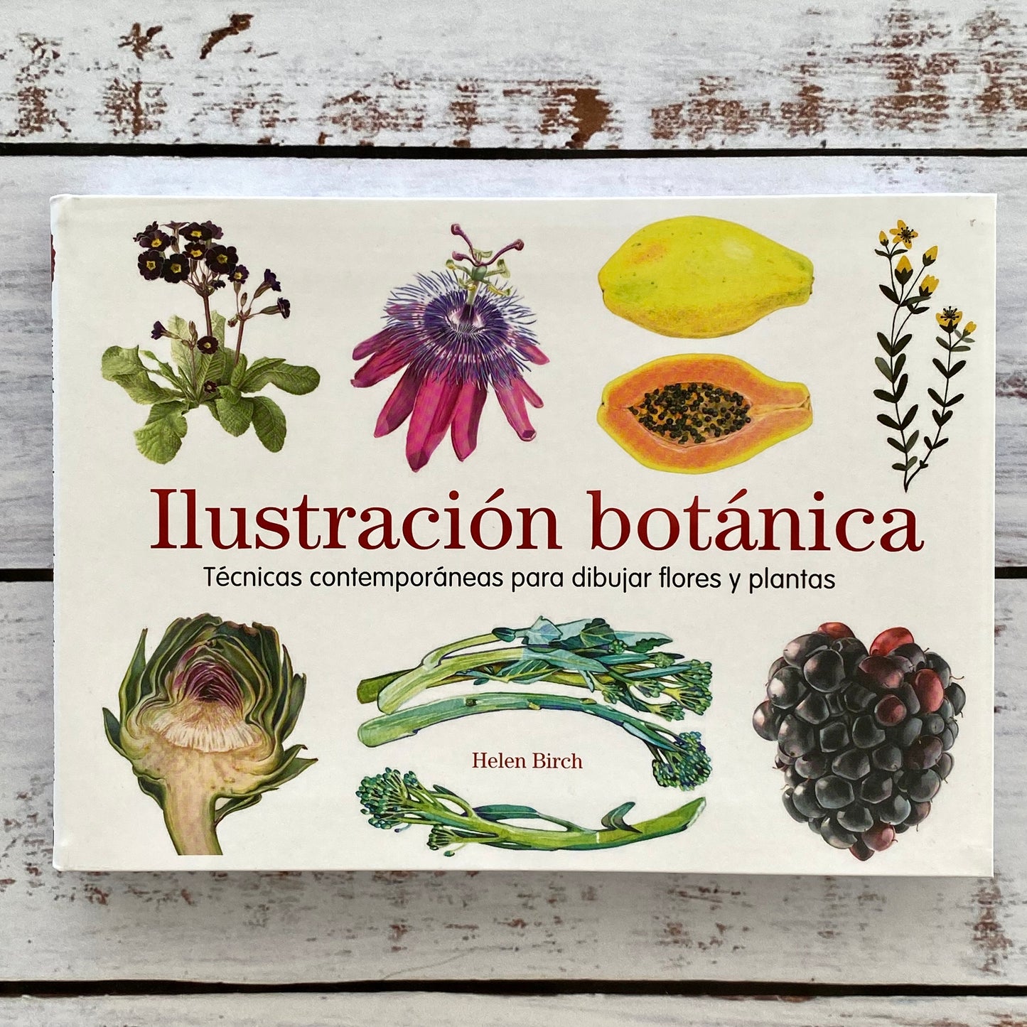 Ilustración Botánica