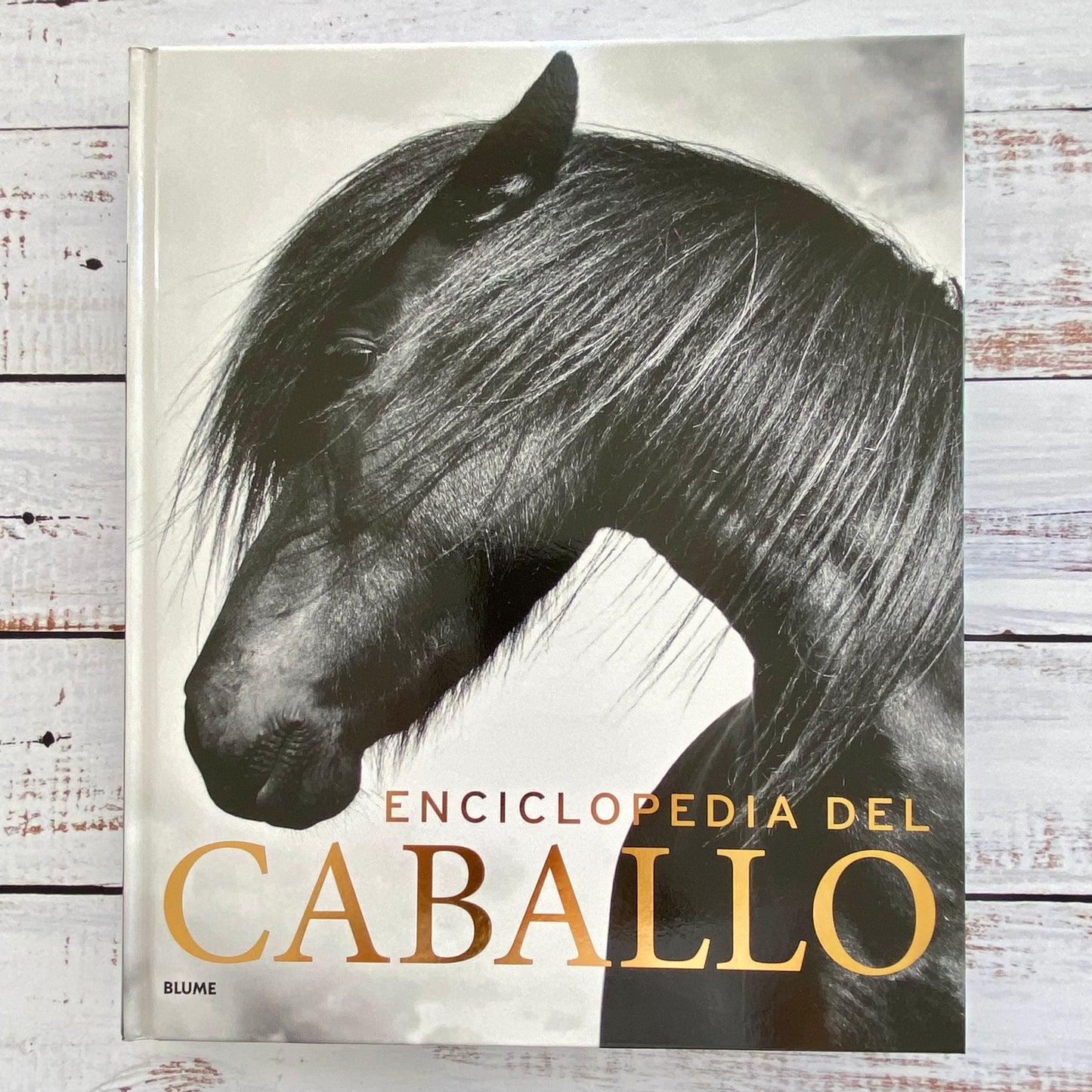 Enciclopedia del Caballo