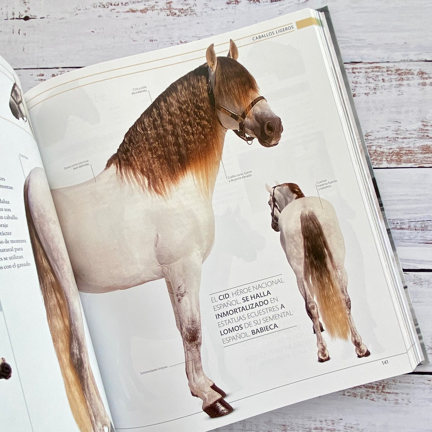 Enciclopedia del Caballo