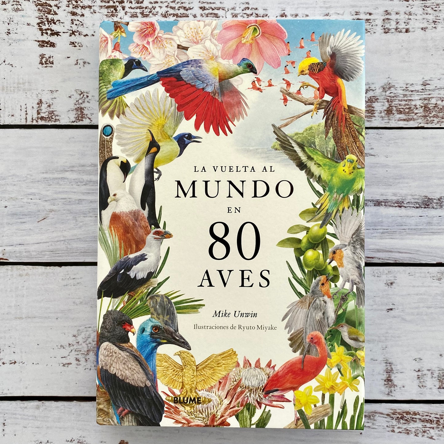 La vuelta al mundo en 80 aves