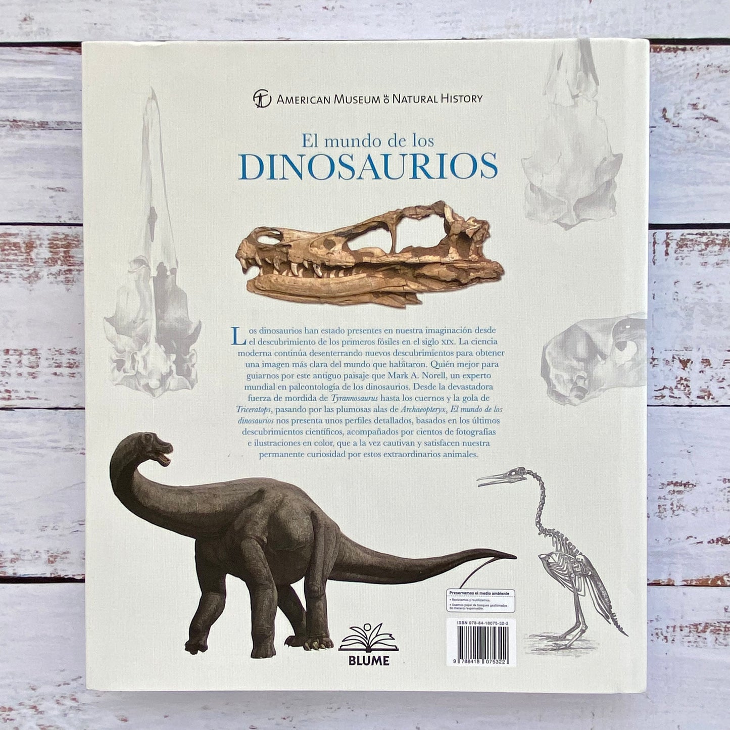 El mundo de los Dinosaurios