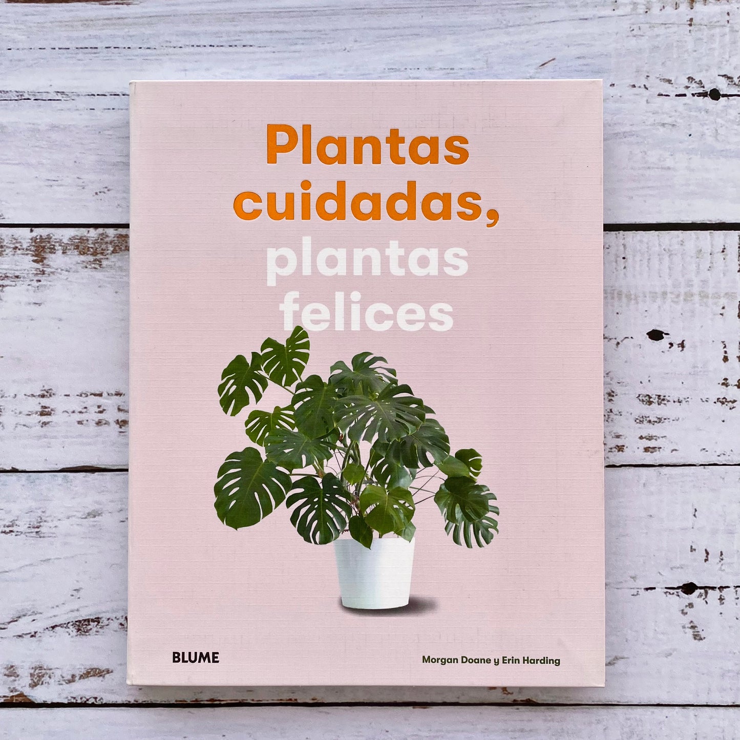 Plantas cuidadas, plantas felices